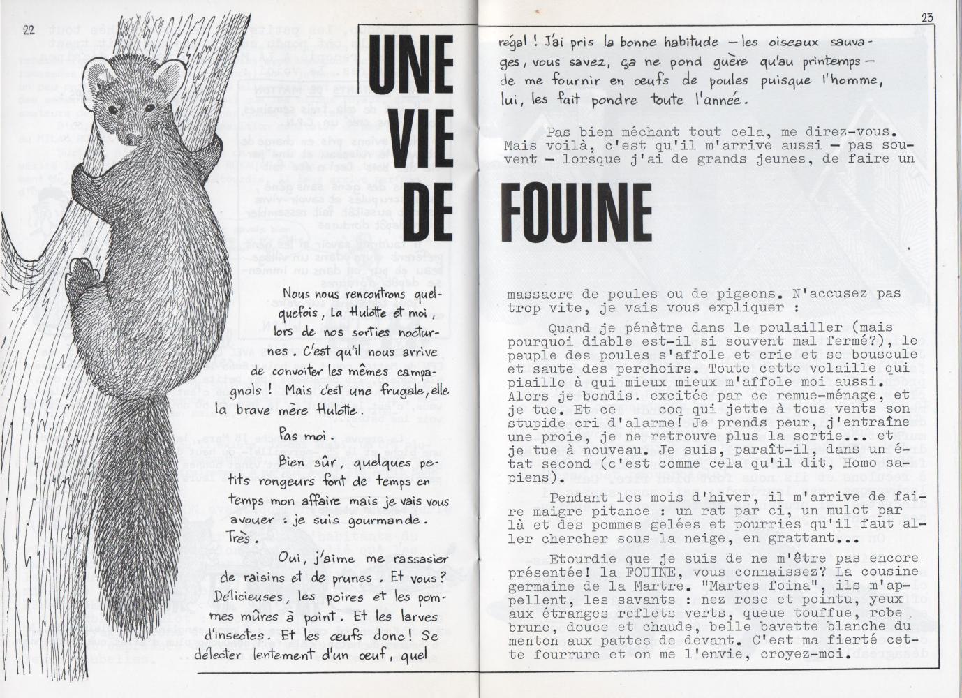 Extrait de La Hulotte n°11 (avril 1973)
