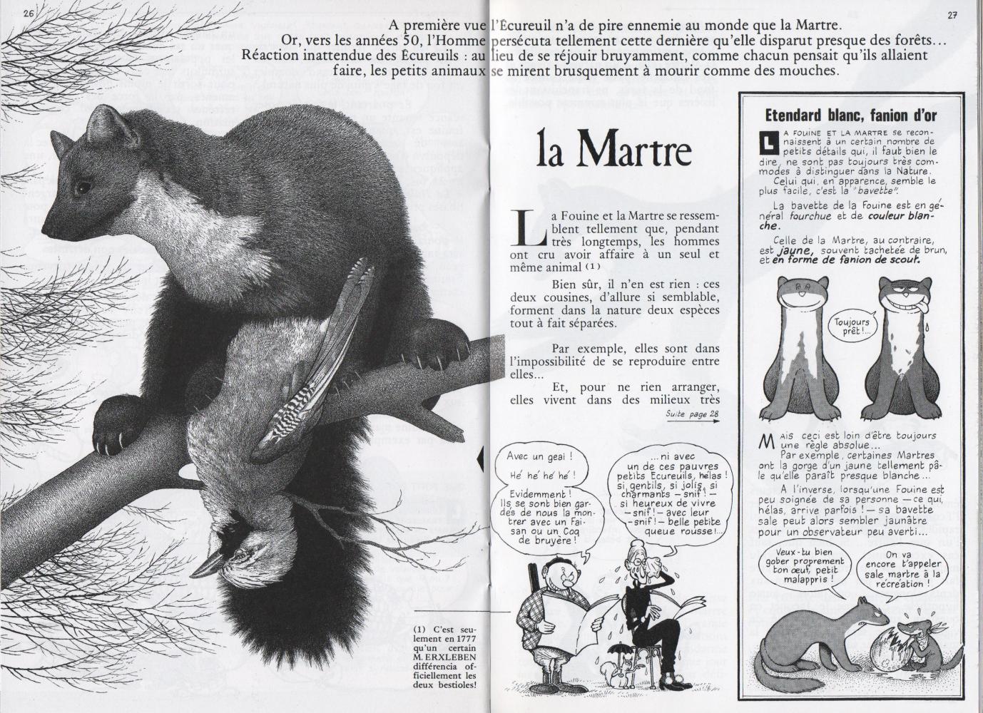Extrait de La Hulotte n°44 (août 1979)